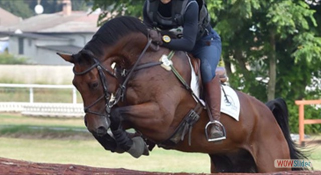 CCI 3*** Vairano, Italia